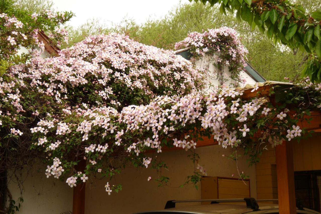 La Casita De Li Apartment ซาน มาร์ติง เด ลอส อันเดส ภายนอก รูปภาพ